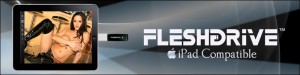 fleshdrive - ipad