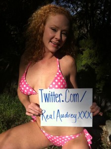 twitter-Audrey Hollander
